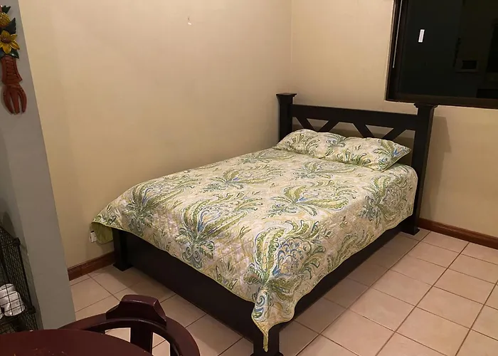 Tucan Studio Ocotal