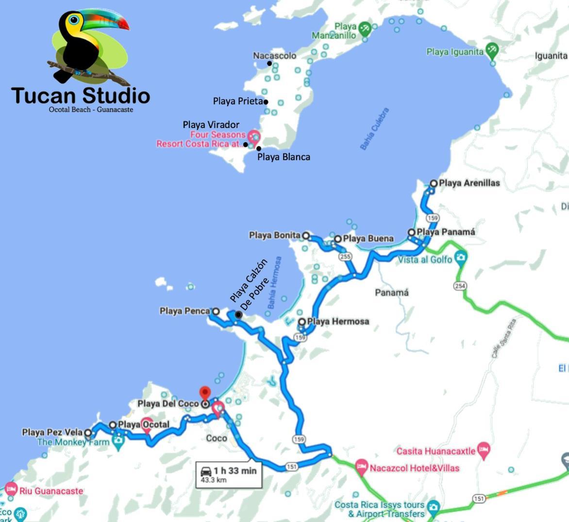Tucan Ocotal Coco